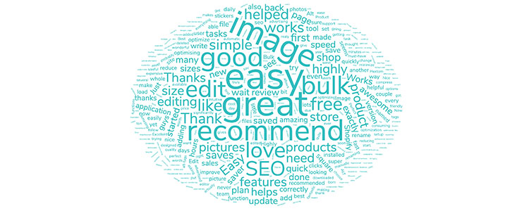 Bulk Image Edit - Image SEO reviews