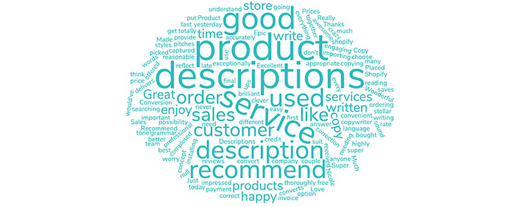 Epic Product Descriptions reviews