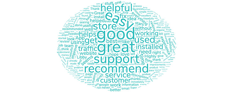 Plug in SEO reviews