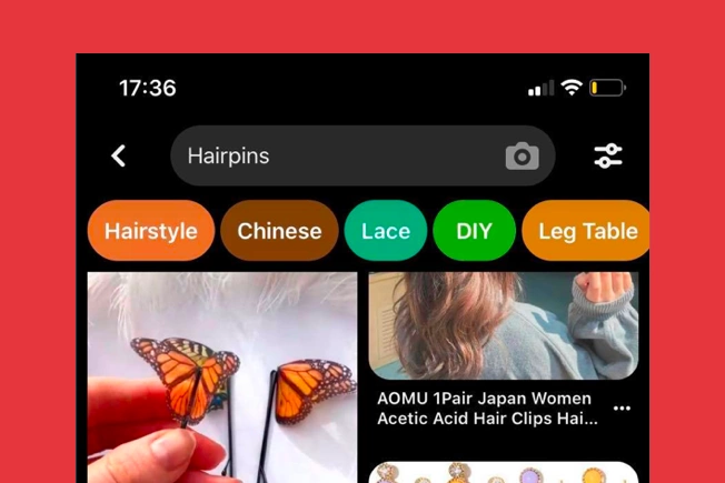 Pinterest search bar hairpins