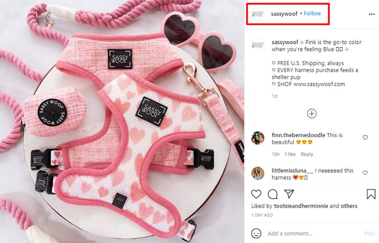 instgaram dog collars page
