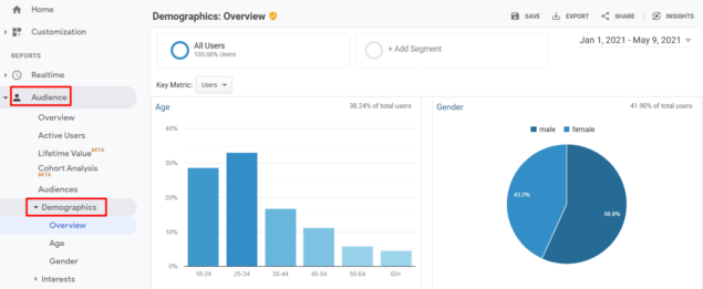 google analytics audience overview