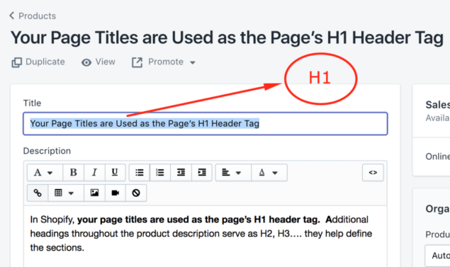 shopify meta title example